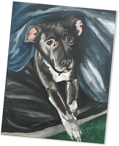 Custom Pet Portraits